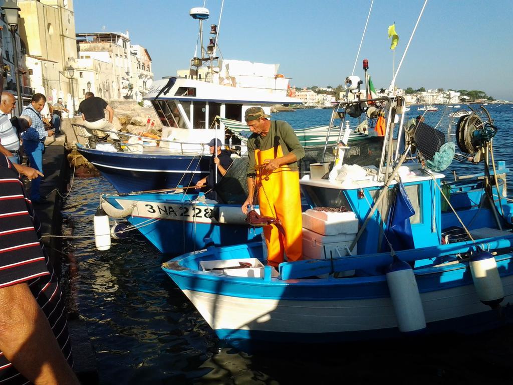 Casa * Ischia